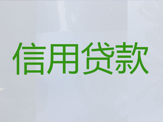 红河贷款公司-银行信用贷款